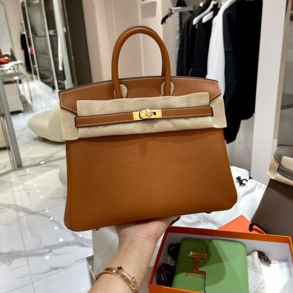 Hermes Birkin Tote Bag Golden Hardware in Brown 25 CM (Mirror Quality)